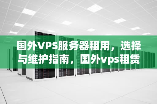 国外VPS服务器租用，选择与维护指南，国外vps租赁