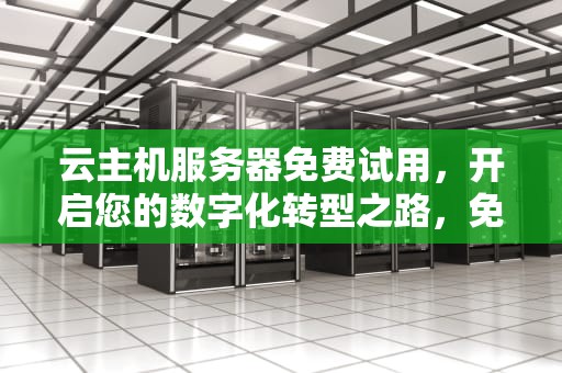 云主机服务器免费试用，开启您的数字化转型之路，免费云服务器主机永久使用