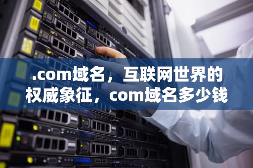.com域名，互联网世界的权威象征，com域名多少钱一年