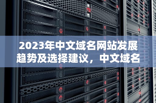 2023年中文域名网站发展趋势及选择建议，中文域名网站骗局