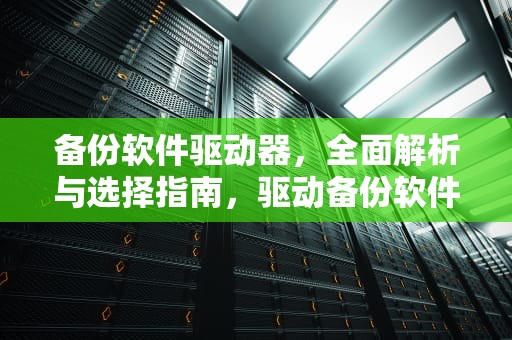 备份软件驱动器，全面解析与选择指南，驱动备份软件下载