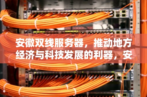 安徽双线服务器，推动地方经济与科技发展的利器，安徽双线服务器有哪些