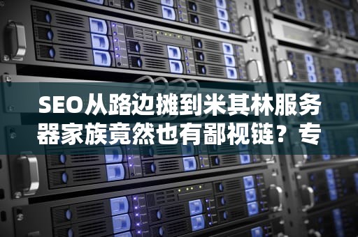SEO从路边摊到米其林服务器家族竟然也有鄙视链？专业科普带你吃透十八般武艺