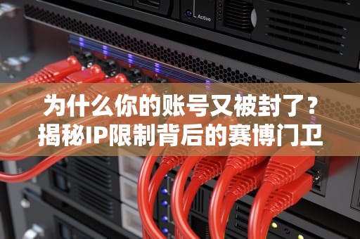 为什么你的账号又被封了？揭秘IP限制背后的赛博门卫生存指南