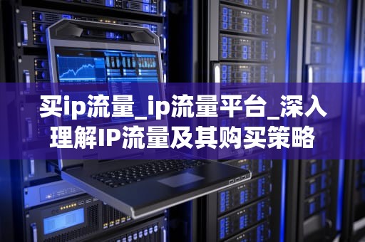 买ip流量_ip流量平台_深入理解IP流量及其购买策略