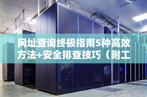 网址查询终极指南5种高效方法+安全排查技巧（附工具推荐）