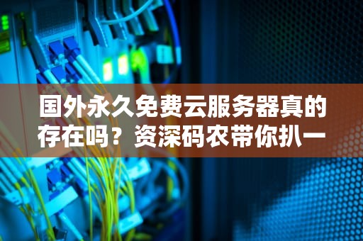 国外永久免费云服务器真的存在吗？资深码农带你扒一扒羊毛党的隐秘江湖