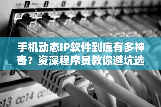 手机动态IP软件到底有多神奇？资深程序员教你避坑选对防封号神器