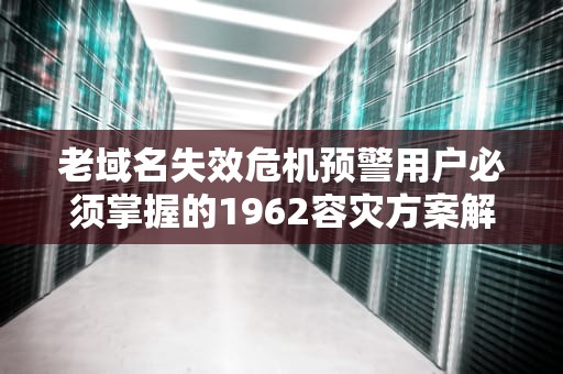 老域名失效危机预警用户必须掌握的1962容灾方案解析