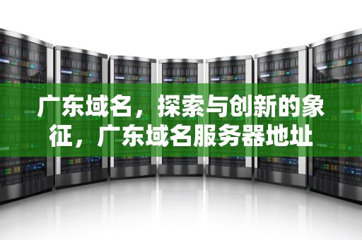 广东域名，探索与创新的象征，广东域名服务器地址