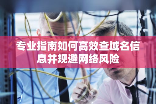 专业指南如何高效查域名信息并规避网络风险