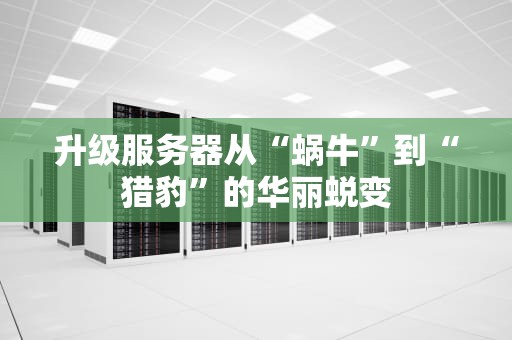升级服务器从“蜗牛”到“猎豹”的华丽蜕变