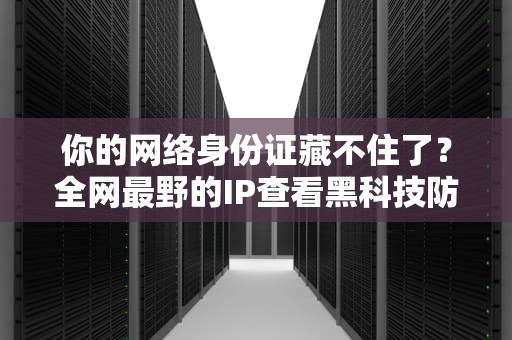 你的网络身份证藏不住了？全网最野的IP查看黑科技防坑指南
