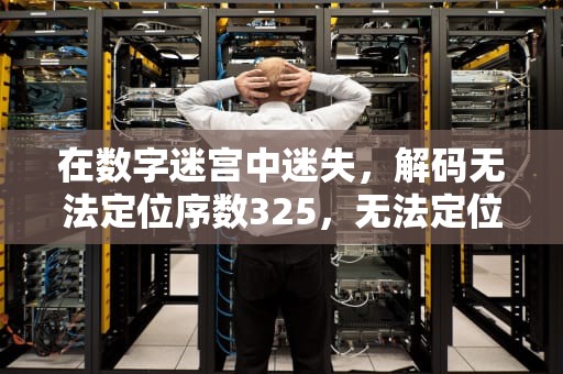 在数字迷宫中迷失，解码无法定位序数325，无法定位序数325于动态链接库shdocvw.dll