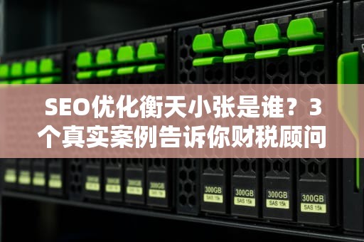 SEO优化衡天小张是谁？3个真实案例告诉你财税顾问能有多离谱
