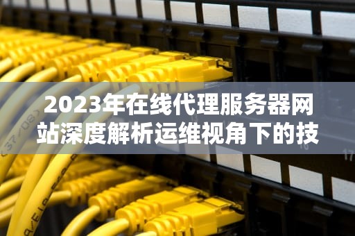 2023年在线代理服务器网站深度解析运维视角下的技术选型与风险防控