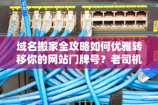 域名搬家全攻略如何优雅转移你的网站门牌号？老司机手把手教学