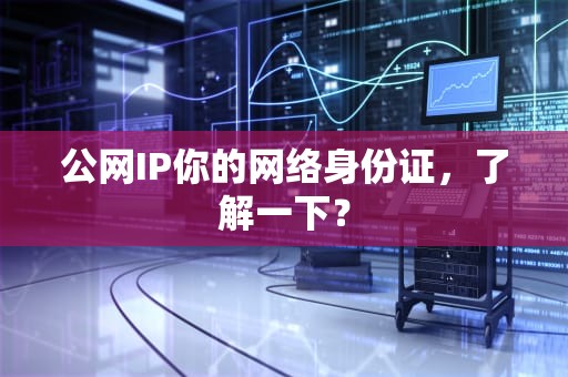 公网IP你的网络身份证，了解一下？