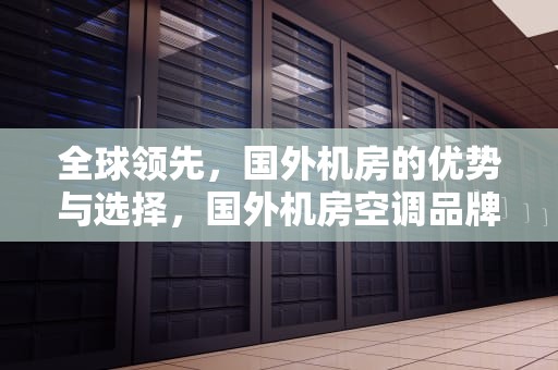 全球领先，国外机房的优势与选择，国外机房空调品牌