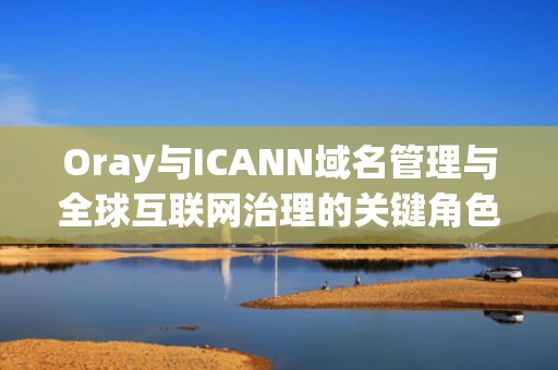 Oray与ICANN域名管理与全球互联网治理的关键角色