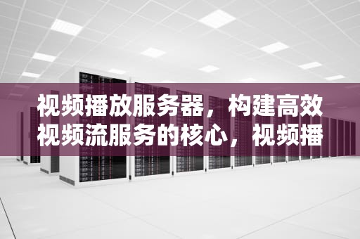 视频播放服务器，构建高效视频流服务的核心，视频播放服务器运行失败是怎么回事