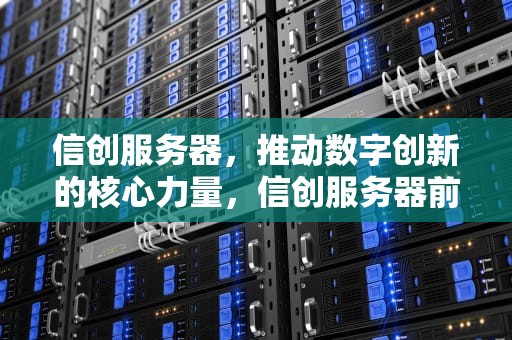 信创服务器，推动数字创新的核心力量，信创服务器前十名排名