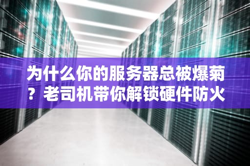为什么你的服务器总被爆菊？老司机带你解锁硬件防火墙的硬核姿势