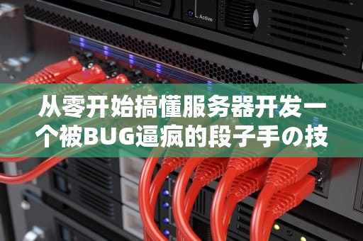 从零开始搞懂服务器开发一个被BUG逼疯的段子手の技术内幕