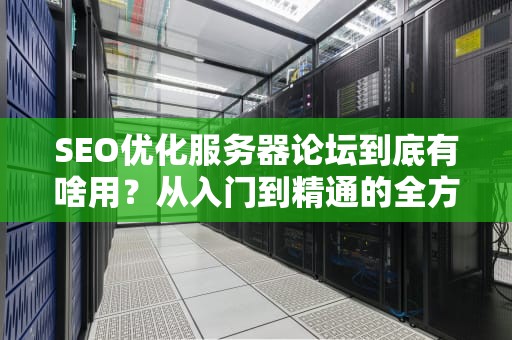 SEO优化服务器论坛到底有啥用？从入门到精通的全方位硬核科普！
