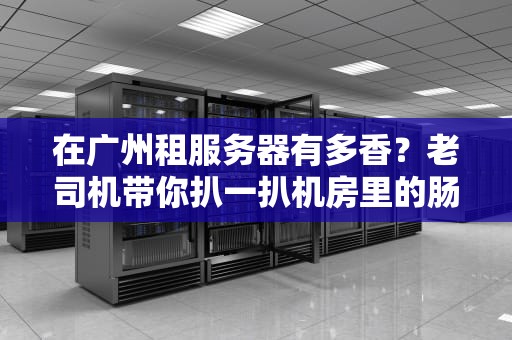 在广州租服务器有多香？老司机带你扒一扒机房里的肠粉味真相