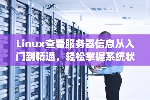 Linux查看服务器信息从入门到精通，轻松掌握系统状态