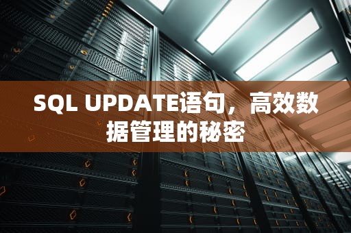SQL UPDATE语句，高效数据管理的秘密