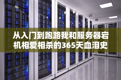 从入门到跑路我和服务器宕机相爱相杀的365天血泪史