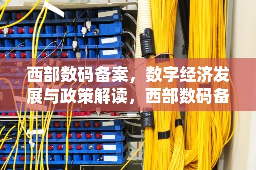 西部数码备案，数字经济发展与政策解读，西部数码备案系统