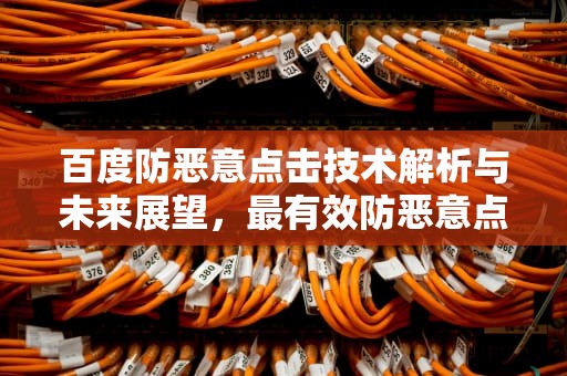 百度防恶意点击技术解析与未来展望，最有效防恶意点击