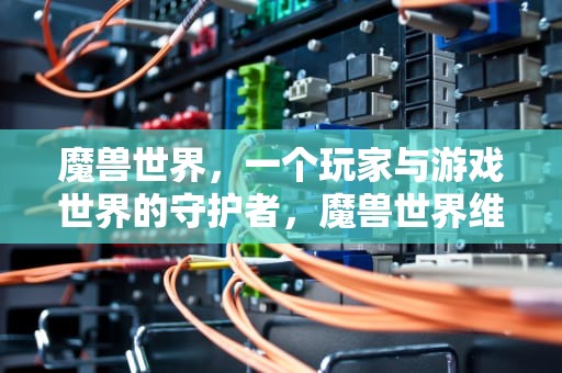 魔兽世界，一个玩家与游戏世界的守护者，魔兽世界维护时间公告在哪看