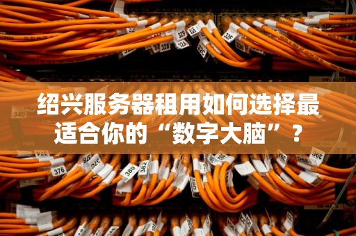 绍兴服务器租用如何选择最适合你的“数字大脑”？