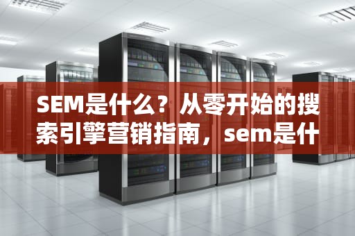 SEM是什么？从零开始的搜索引擎营销指南，sem是什么显微镜
