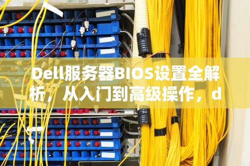 Dell服务器BIOS设置全解析，从入门到高级操作，dell服务器bios设置中文