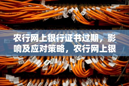 农行网上银行证书过期，影响及应对策略，农行网上银行证书过期怎么办