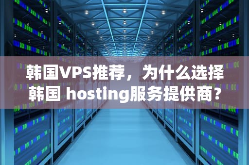韩国VPS推荐，为什么选择韩国 hosting服务提供商？韩国vps真空泵