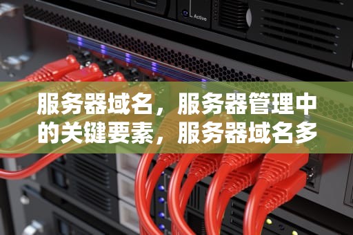 服务器域名，服务器管理中的关键要素，服务器域名多少钱
