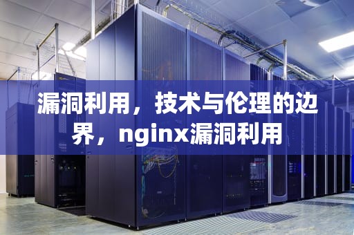 漏洞利用，技术与伦理的边界，nginx漏洞利用