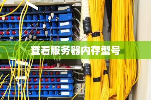查看服务器内存型号