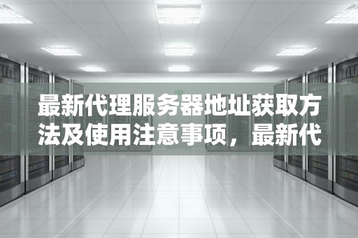 最新代理服务器地址获取方法及使用注意事项，最新代理服务器地址查询