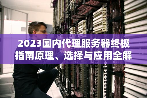 2023国内代理服务器终极指南原理、选择与应用全解析