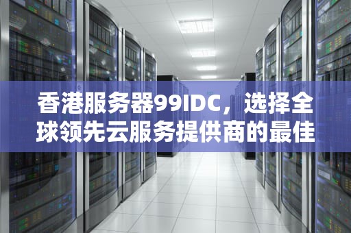 香港服务器99IDC，选择全球领先云服务提供商的最佳之选，香港服务器排名
