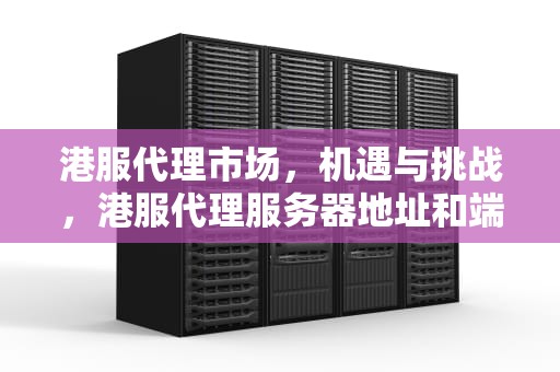 港服代理市场，机遇与挑战，港服代理服务器地址和端口号