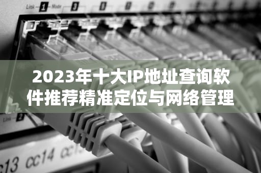 2023年十大IP地址查询软件推荐精准定位与网络管理必备指南
