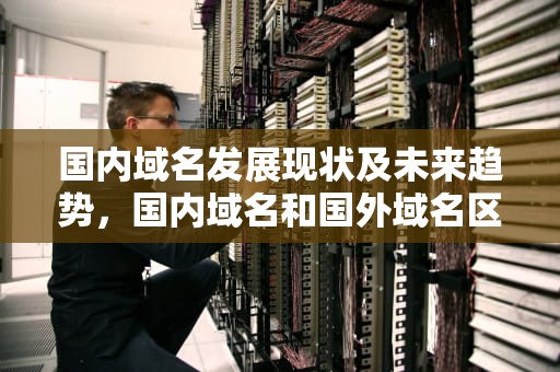 国内域名发展现状及未来趋势，国内域名和国外域名区别
